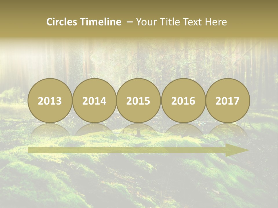 Deep Land Woodland PowerPoint Template