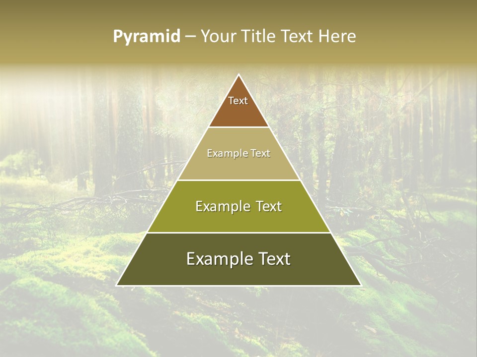 Deep Land Woodland PowerPoint Template