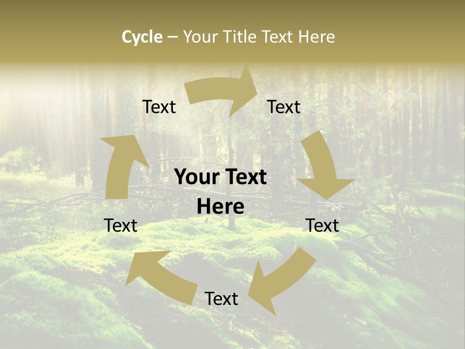 Deep Land Woodland PowerPoint Template