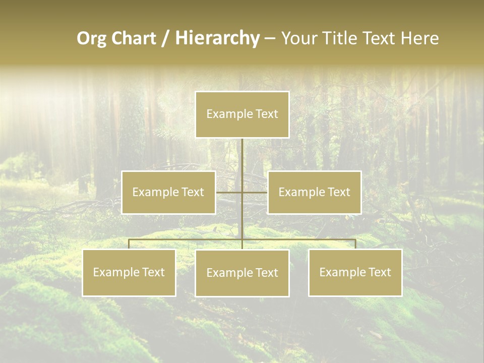 Deep Land Woodland PowerPoint Template