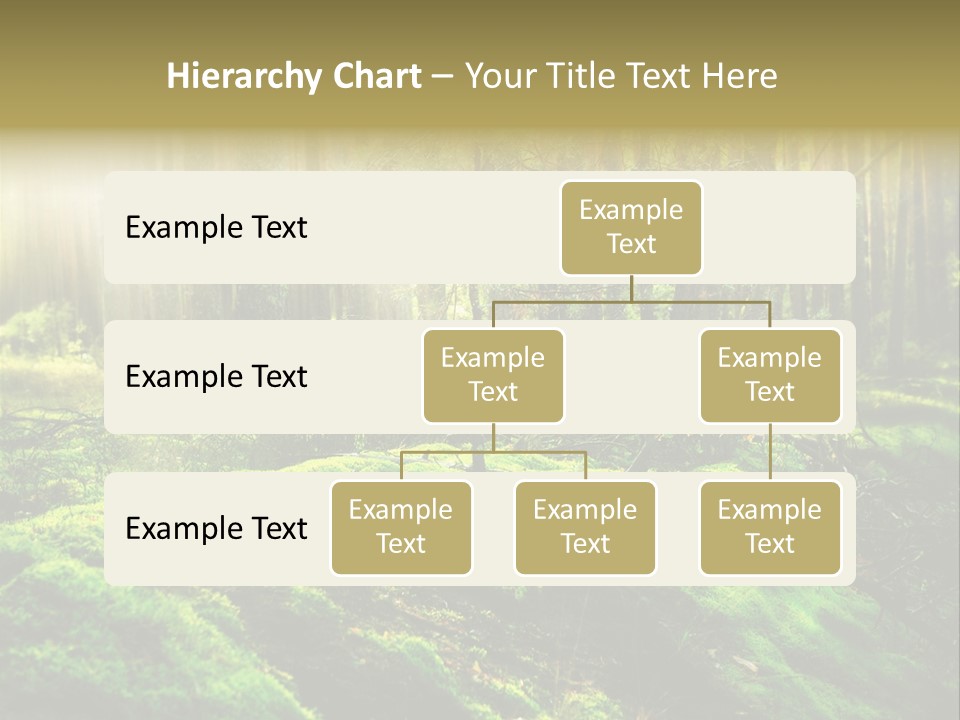 Deep Land Woodland PowerPoint Template