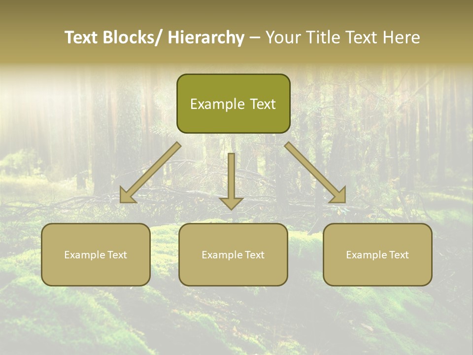 Deep Land Woodland PowerPoint Template