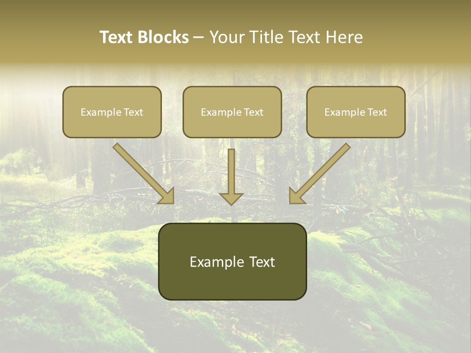Deep Land Woodland PowerPoint Template