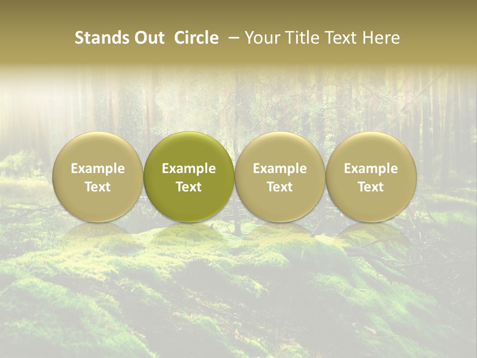 Deep Land Woodland PowerPoint Template