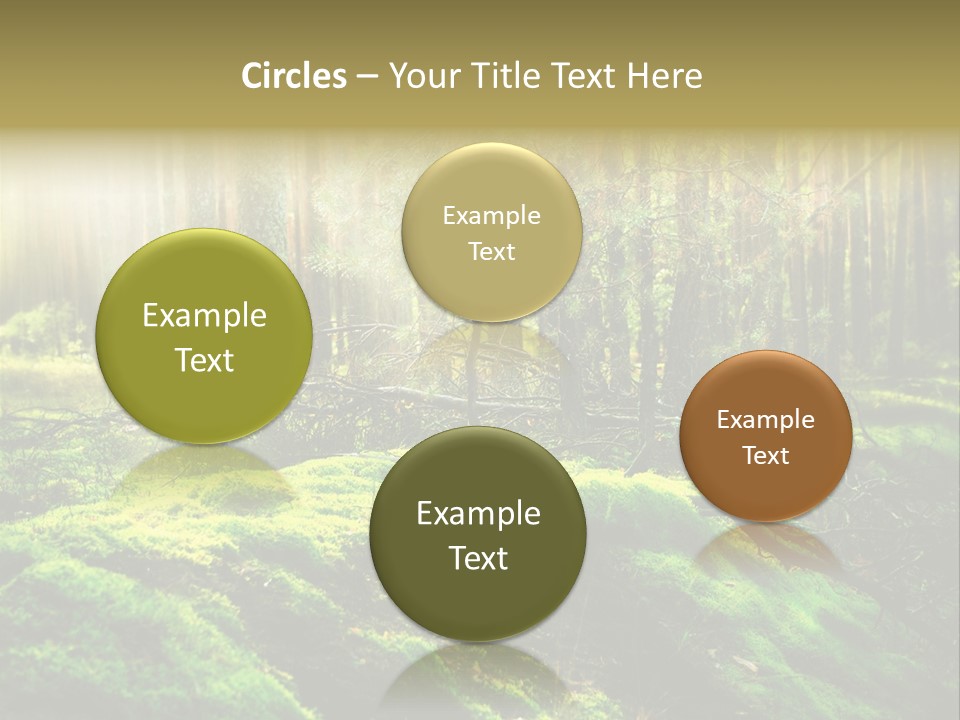 Deep Land Woodland PowerPoint Template