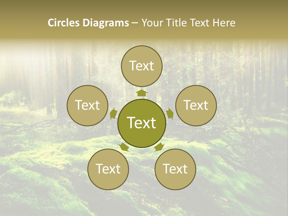 Deep Land Woodland PowerPoint Template