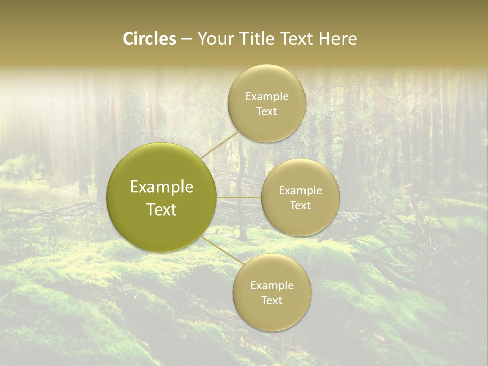 Deep Land Woodland PowerPoint Template