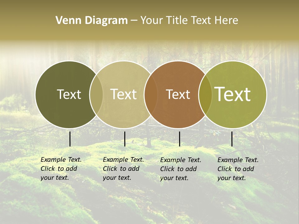 Deep Land Woodland PowerPoint Template