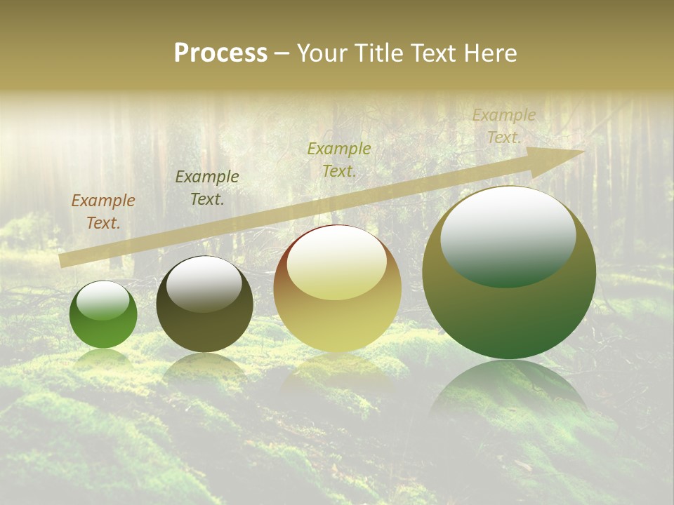 Deep Land Woodland PowerPoint Template