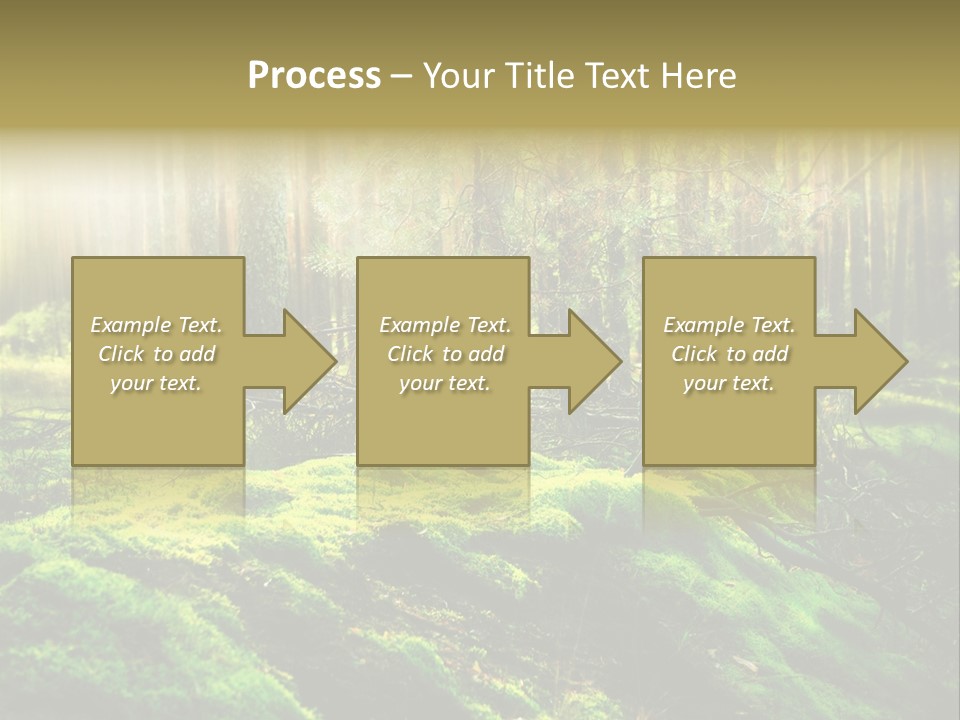 Deep Land Woodland PowerPoint Template