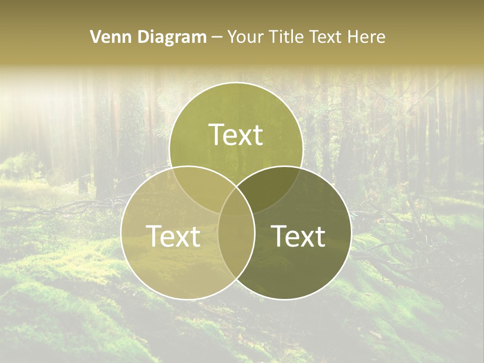 Deep Land Woodland PowerPoint Template