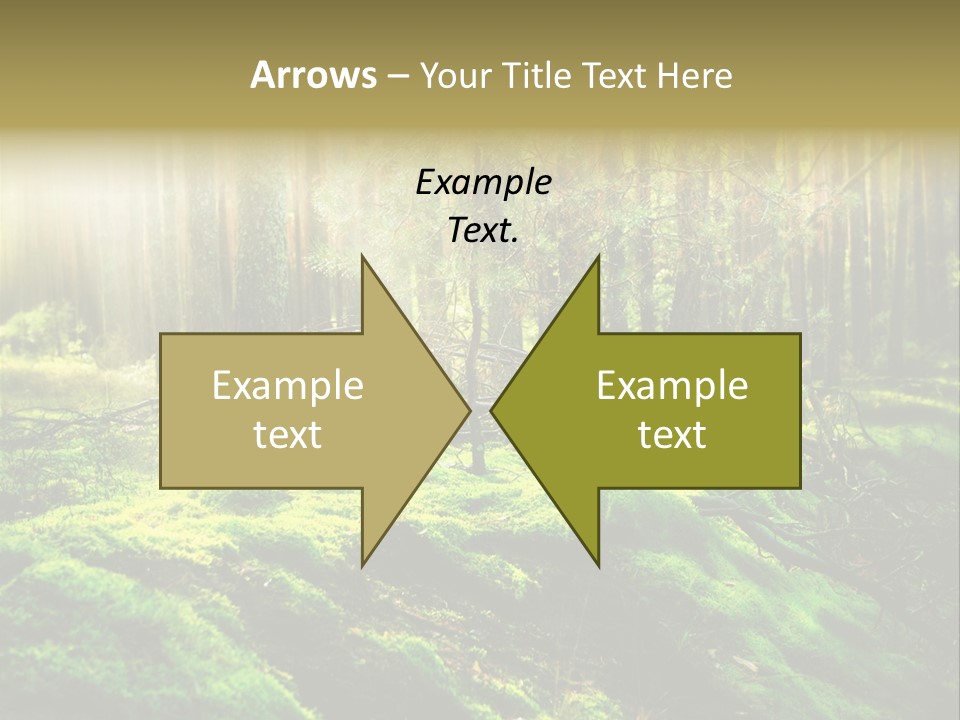 Deep Land Woodland PowerPoint Template