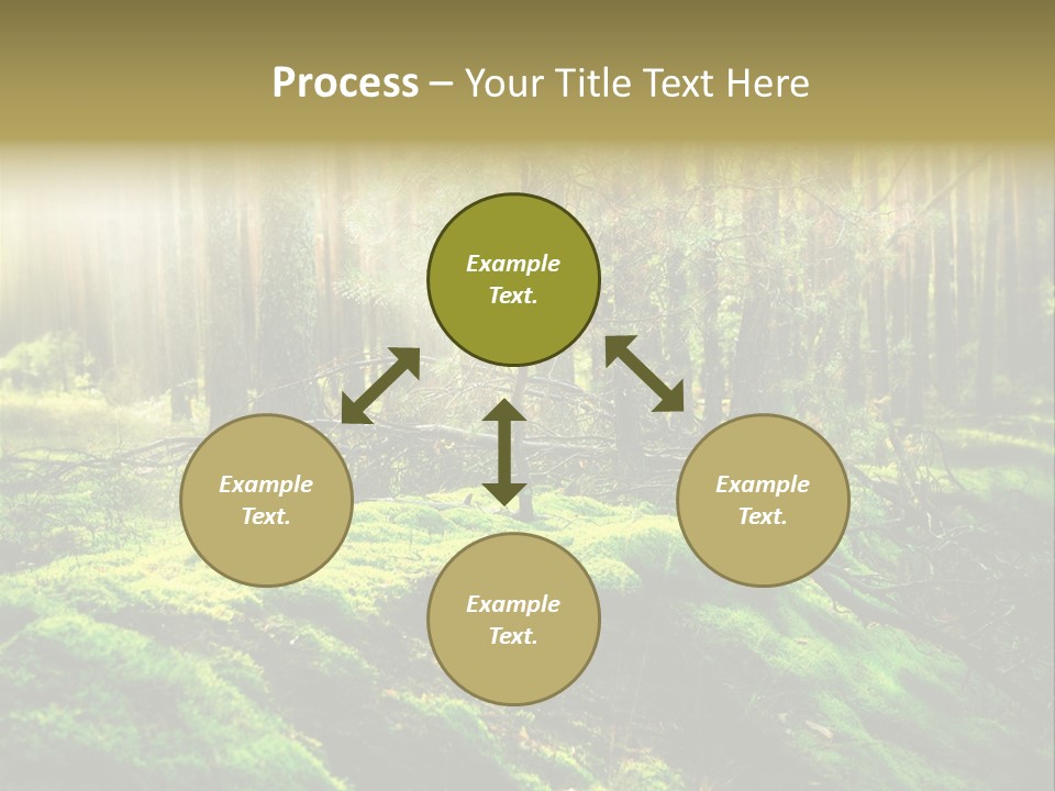 Deep Land Woodland PowerPoint Template
