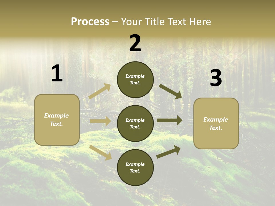Deep Land Woodland PowerPoint Template
