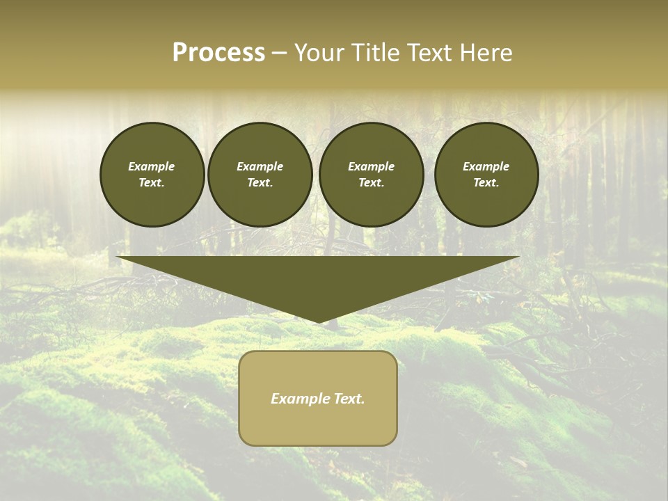 Deep Land Woodland PowerPoint Template