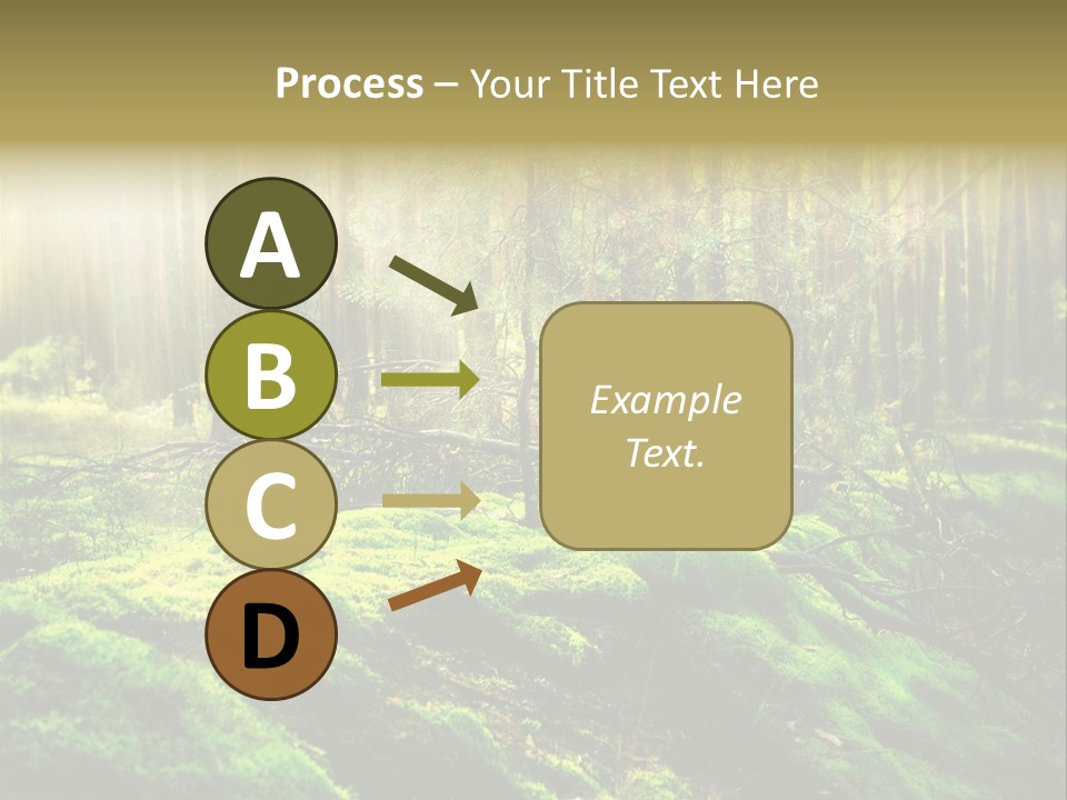 Deep Land Woodland PowerPoint Template