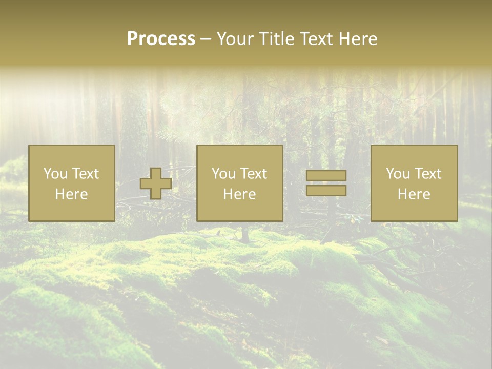 Deep Land Woodland PowerPoint Template