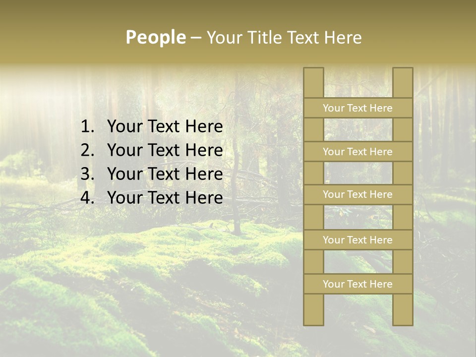 Deep Land Woodland PowerPoint Template