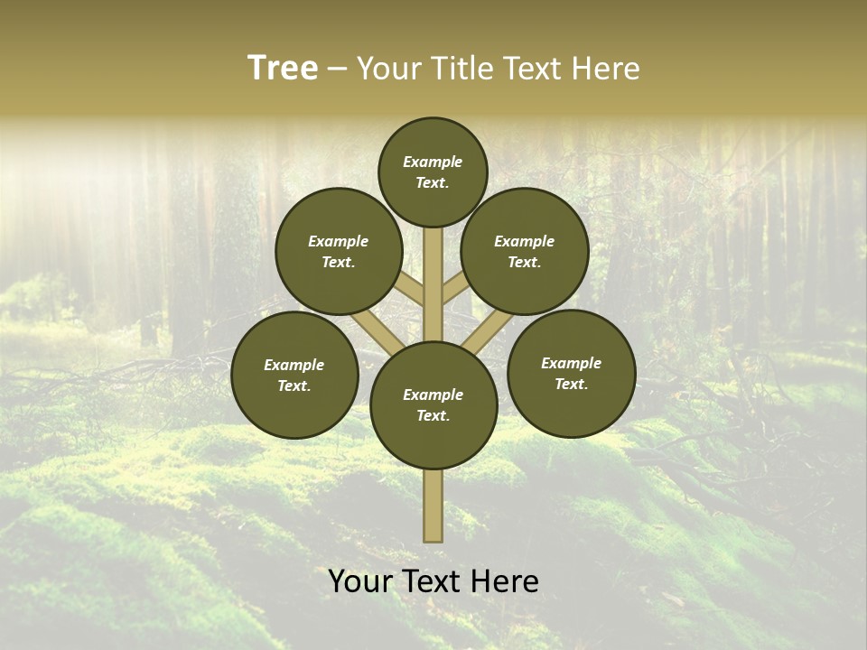 Deep Land Woodland PowerPoint Template