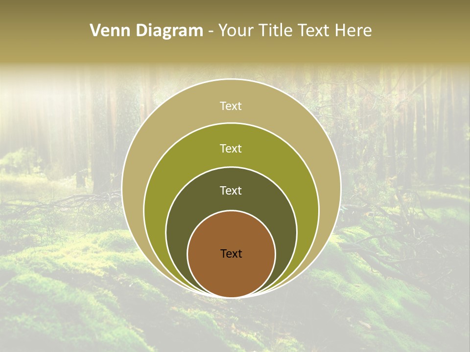 Deep Land Woodland PowerPoint Template
