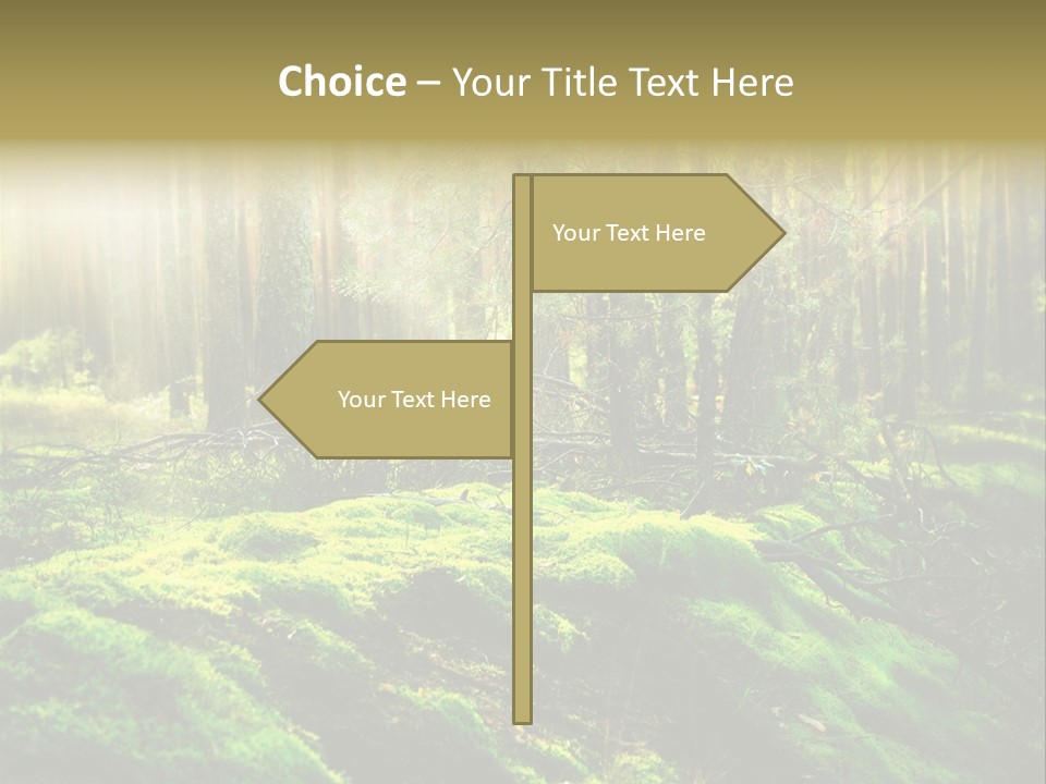 Deep Land Woodland PowerPoint Template