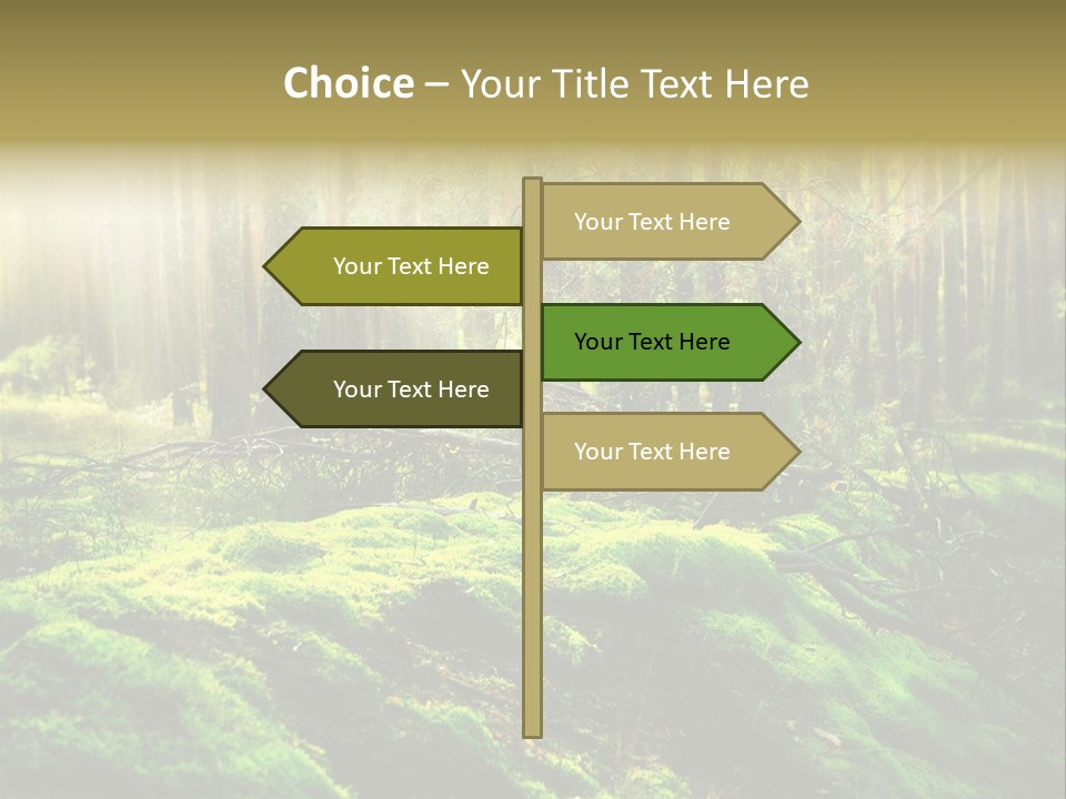 Deep Land Woodland PowerPoint Template