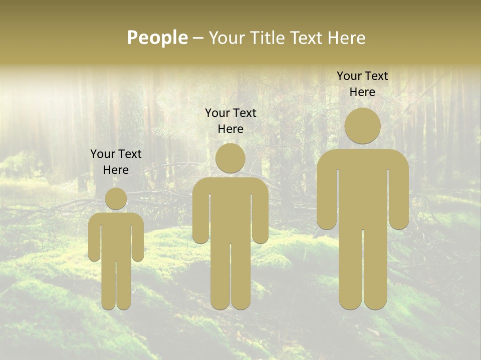 Deep Land Woodland PowerPoint Template