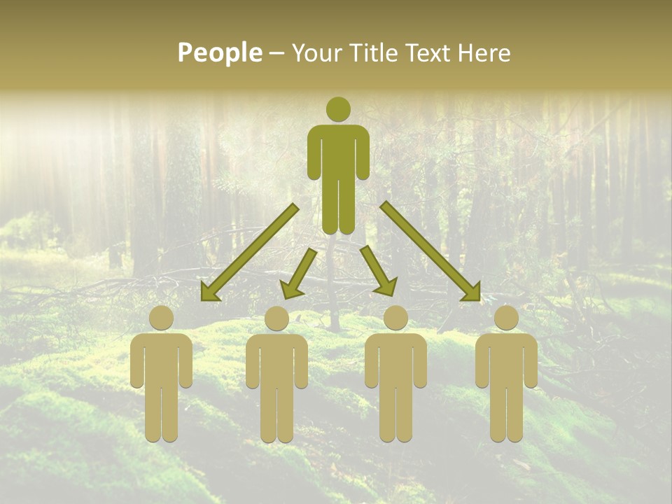 Deep Land Woodland PowerPoint Template