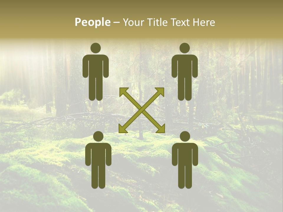 Deep Land Woodland PowerPoint Template