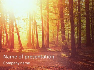 Green Sun Yellow PowerPoint Template