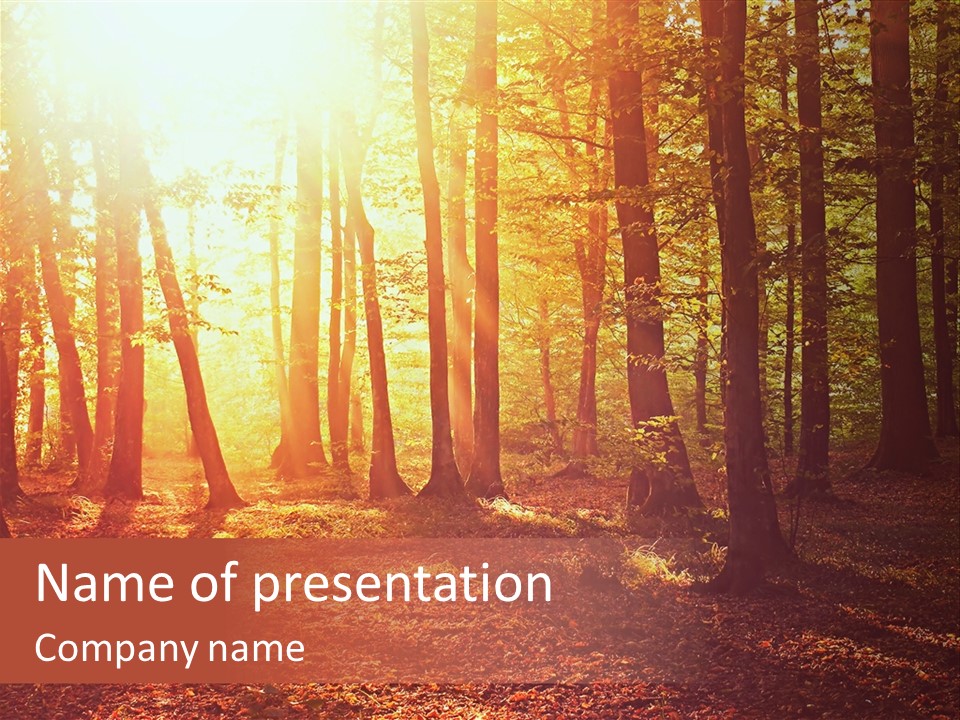 Green Sun Yellow PowerPoint Template