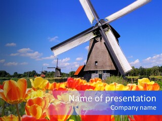 View Holland Nature PowerPoint Template
