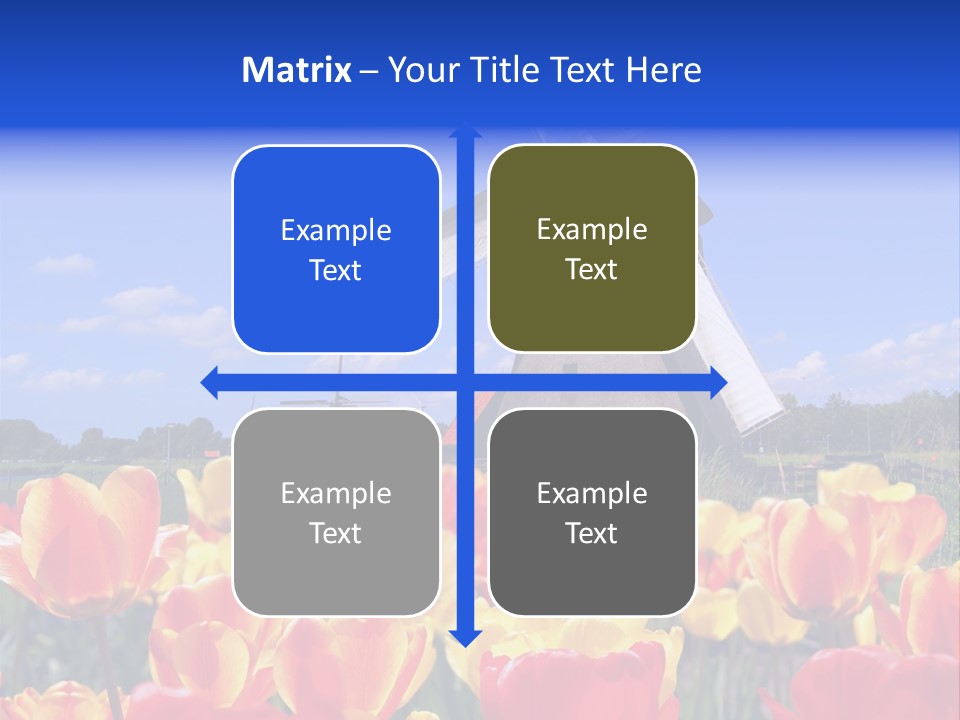 View Holland Nature PowerPoint Template