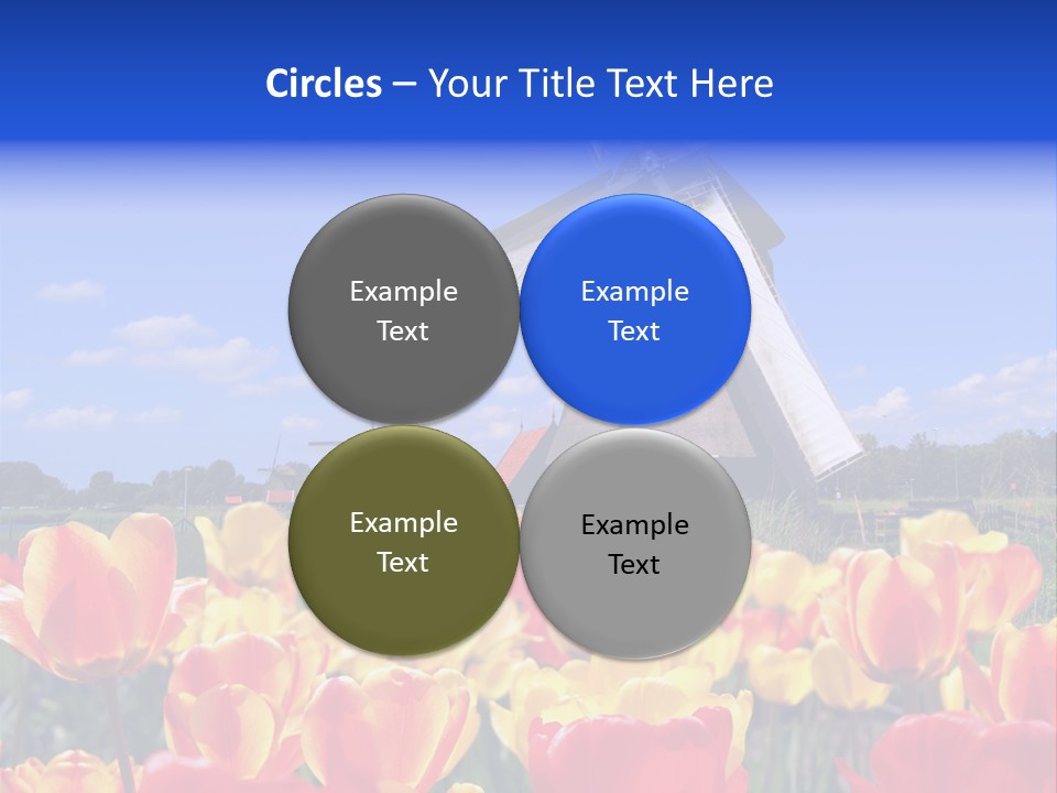 View Holland Nature PowerPoint Template