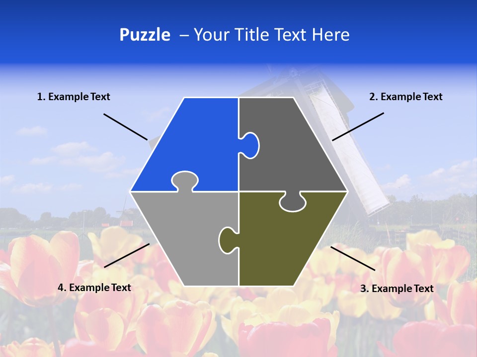 View Holland Nature PowerPoint Template