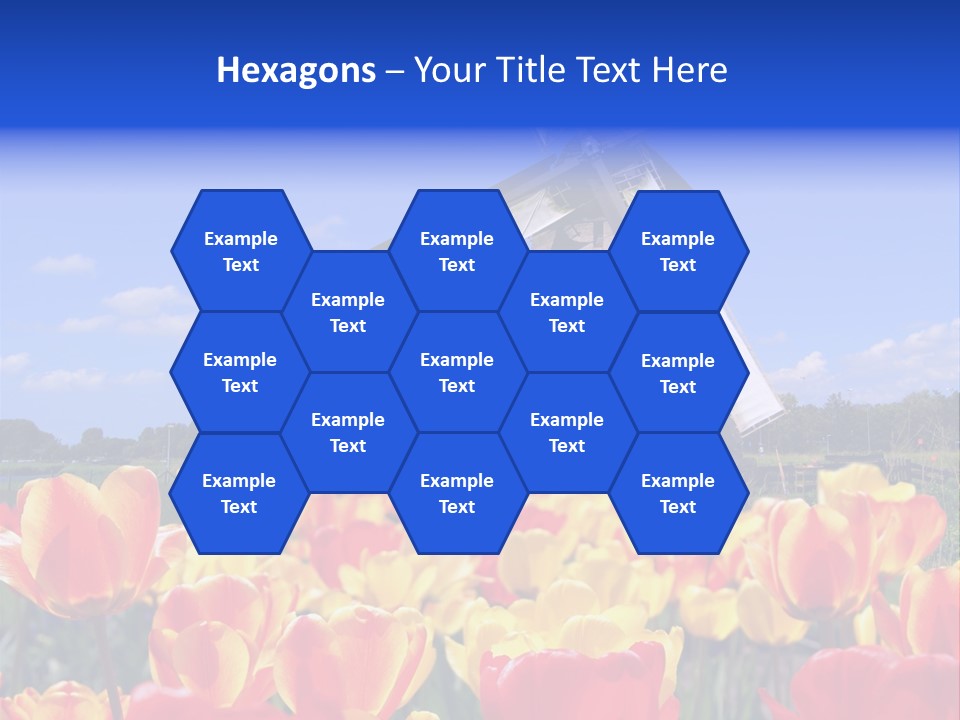 View Holland Nature PowerPoint Template