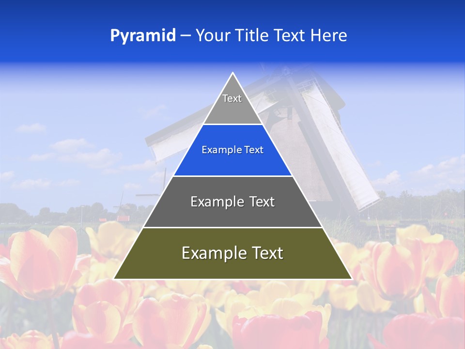 View Holland Nature PowerPoint Template