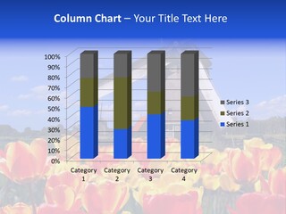 View Holland Nature PowerPoint Template