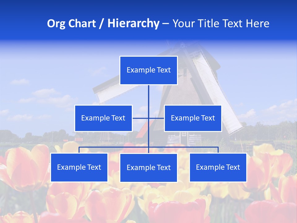 View Holland Nature PowerPoint Template
