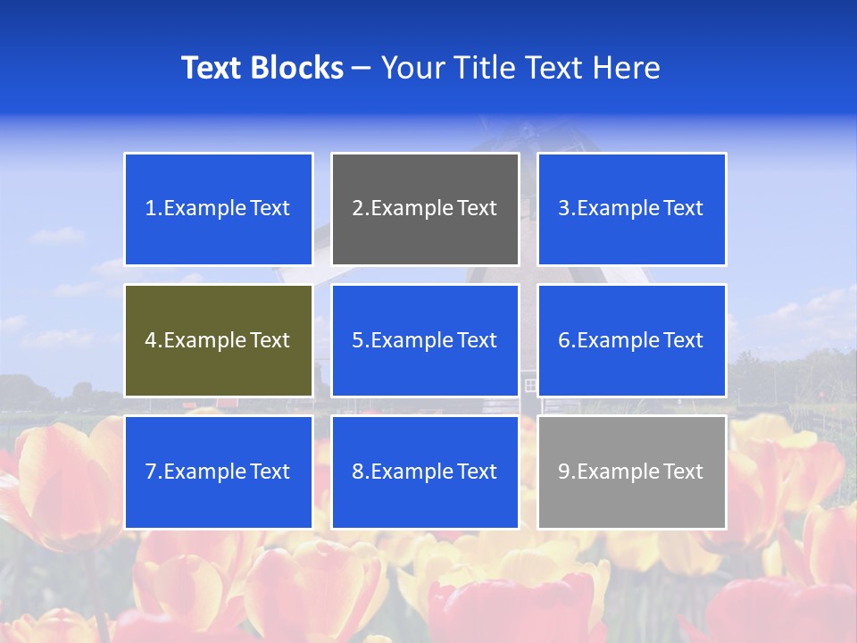 View Holland Nature PowerPoint Template