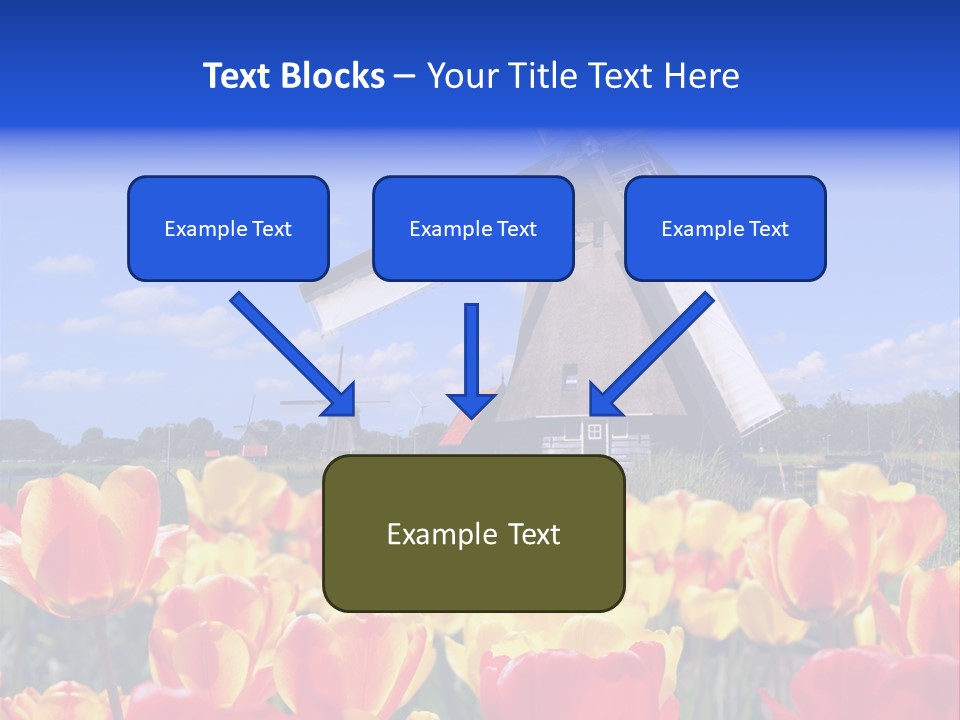 View Holland Nature PowerPoint Template