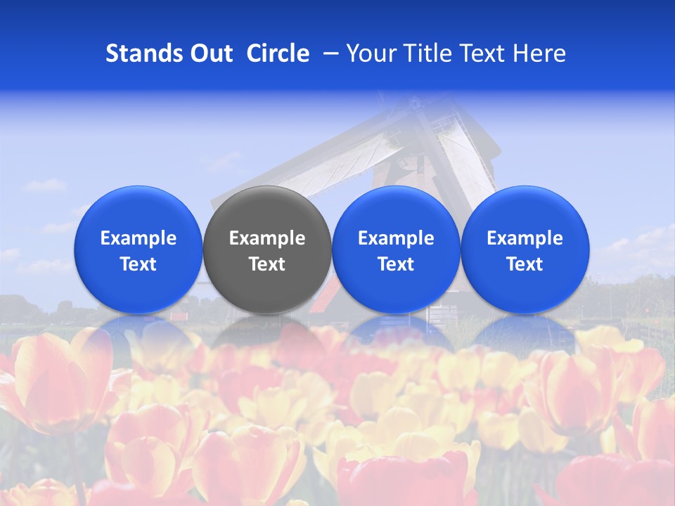 View Holland Nature PowerPoint Template