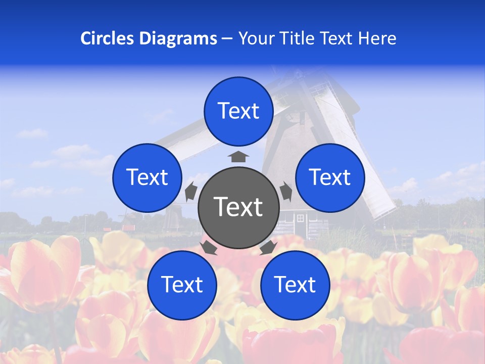 View Holland Nature PowerPoint Template