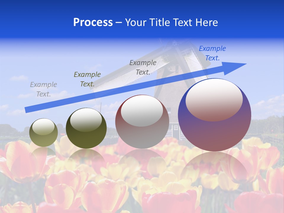 View Holland Nature PowerPoint Template