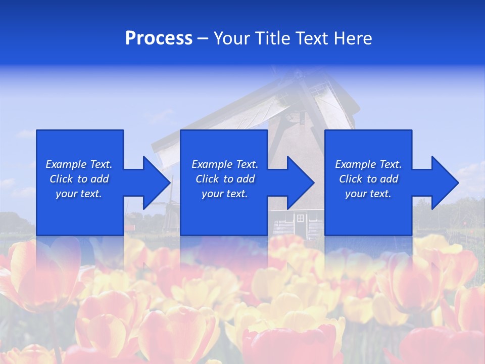 View Holland Nature PowerPoint Template