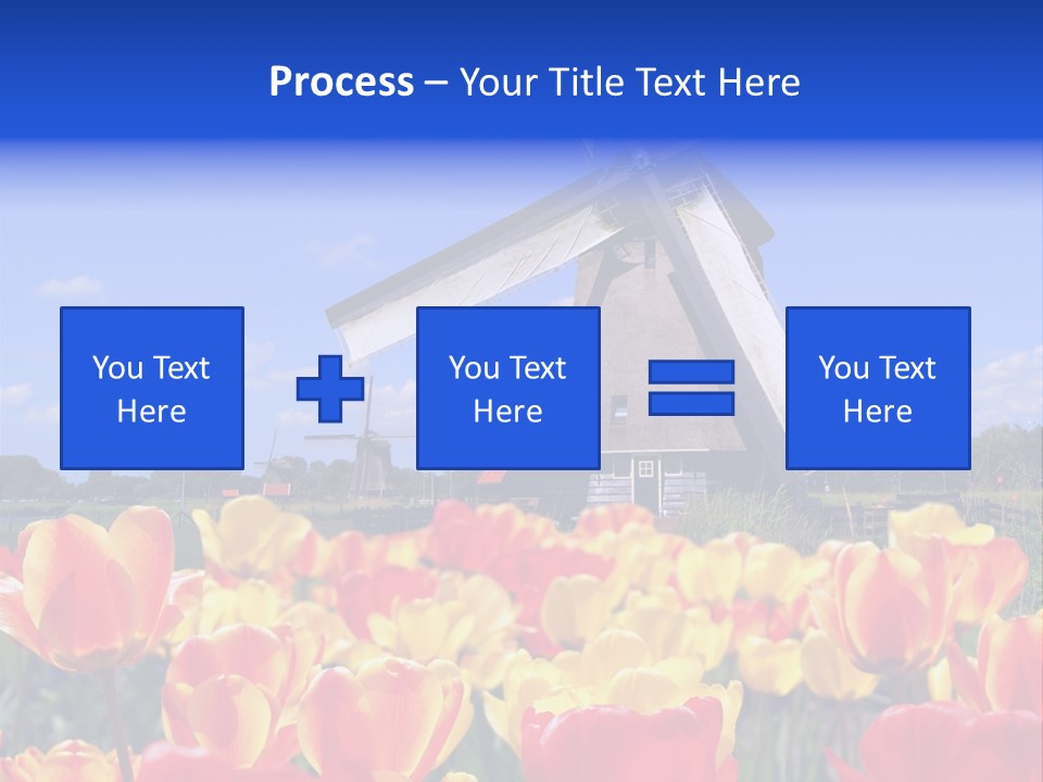 View Holland Nature PowerPoint Template