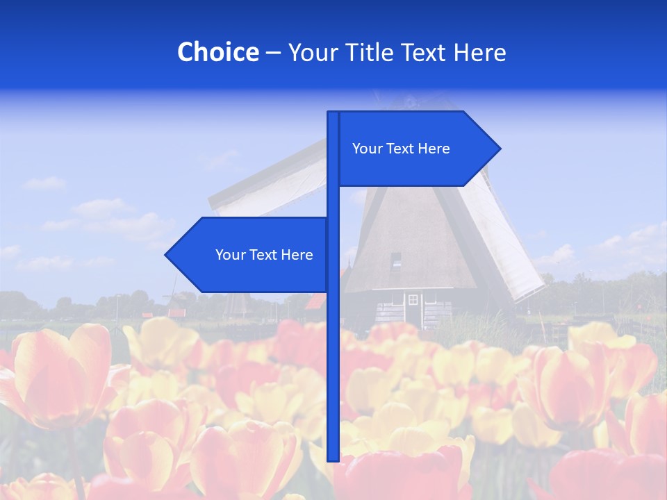 View Holland Nature PowerPoint Template