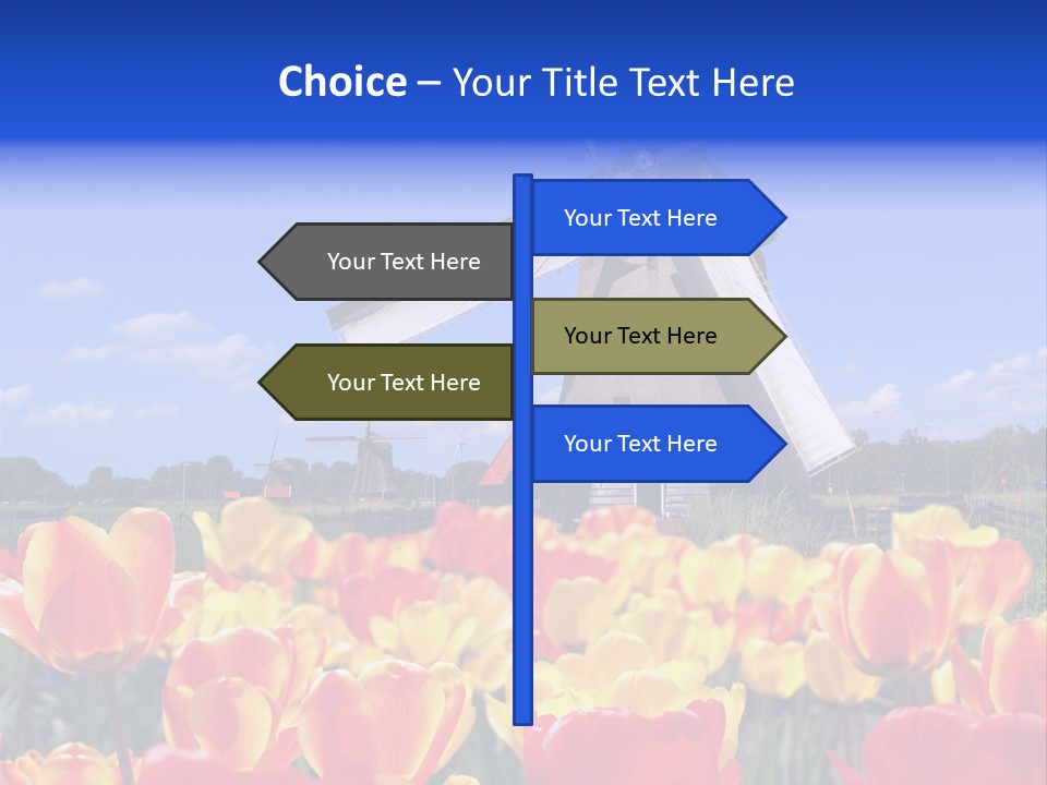 View Holland Nature PowerPoint Template
