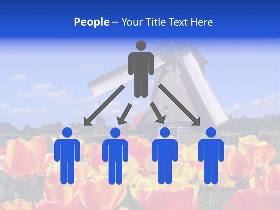 View Holland Nature PowerPoint Template