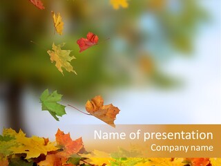 Bokeh Clean Seasonal PowerPoint Template